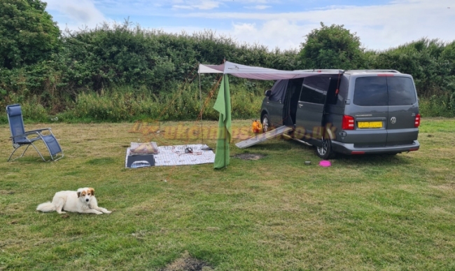 Bruggli Telescopic Dog Access Ramp