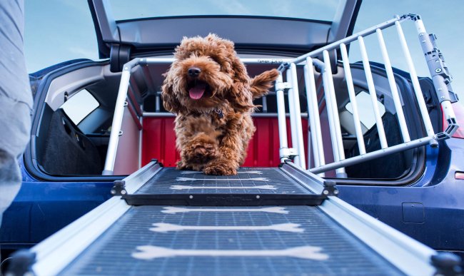Bruggli Telescopic Dog Access Ramp