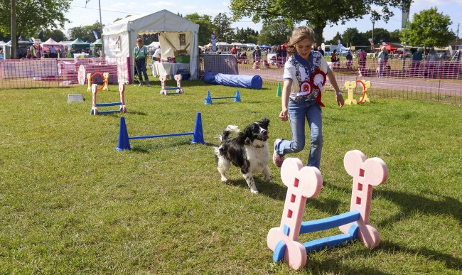 Paws in the Park 2026