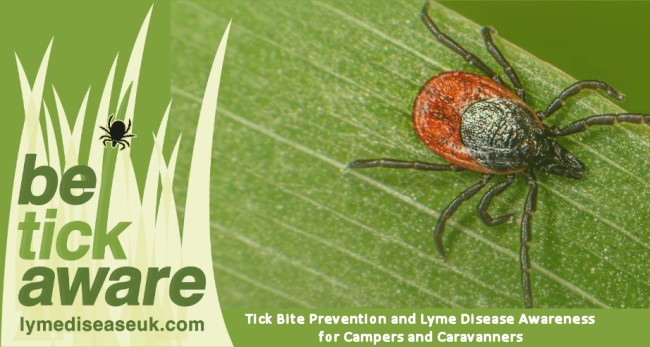 Tick Bite Prevention and Lyme Disease Awareness 