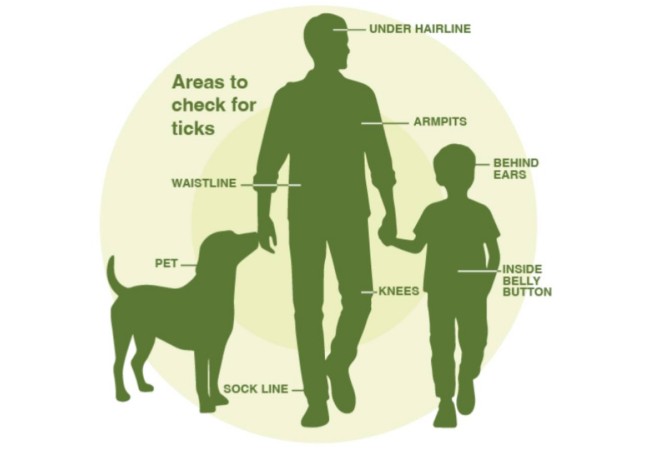 Tick Bite Prevention and Lyme Disease Awareness 