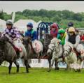 Royal Lancashire Agricultural Show