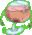 Person