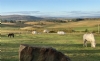 Shipley Lane Farm Camping And Caravanning
