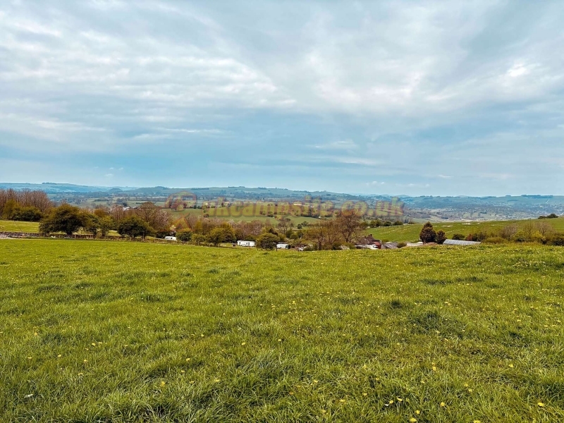 New House Farm