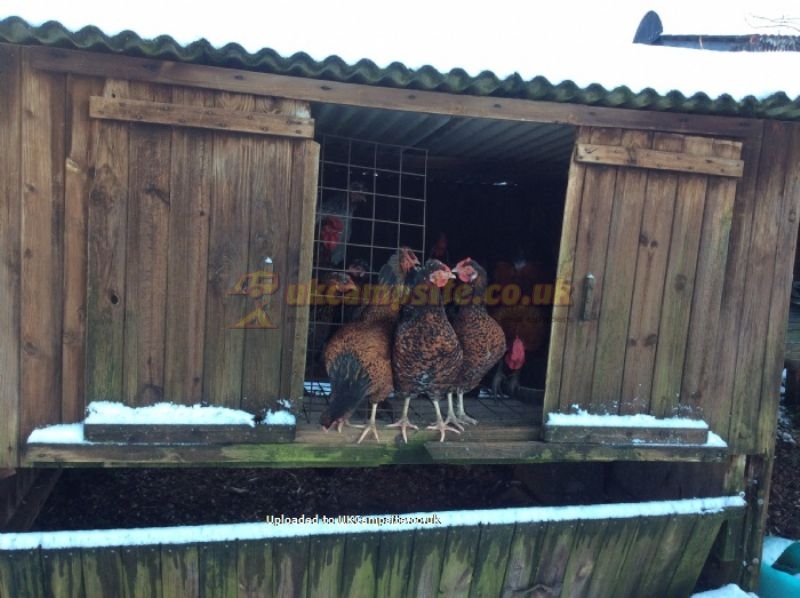 New House Farm