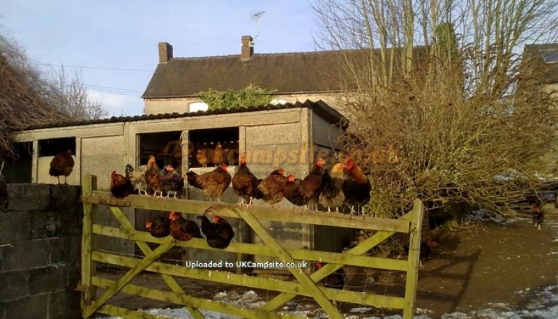 New House Farm