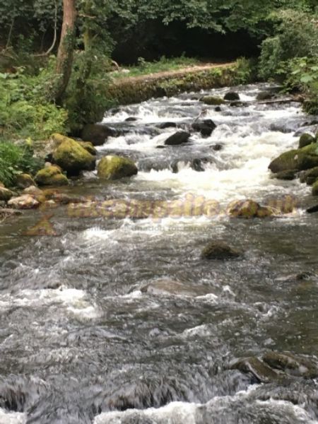 Llwyn Griffri Campsite