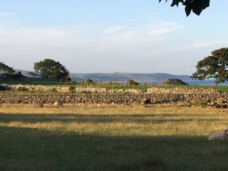 Llwyn Griffri Campsite