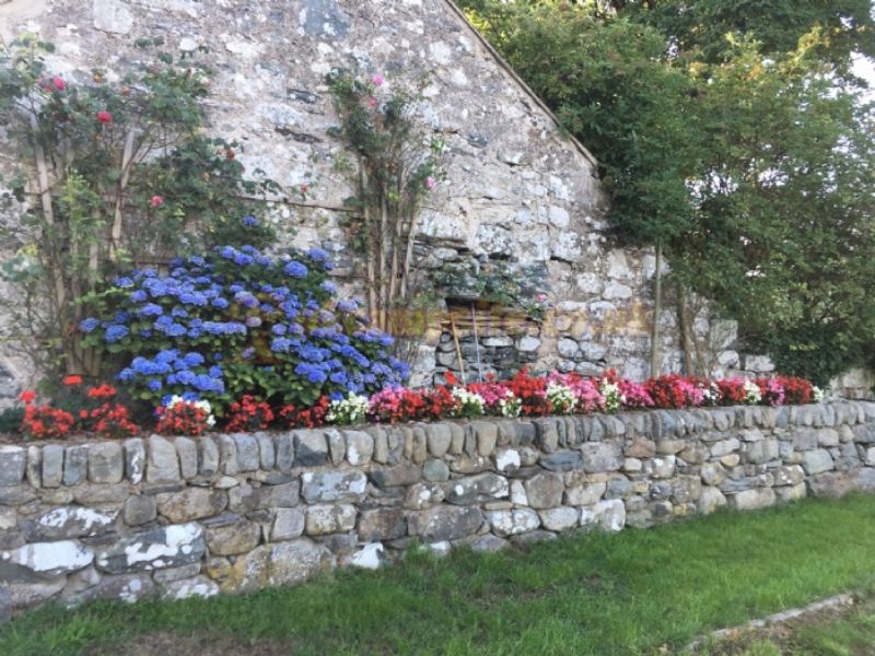 Llwyn Griffri Campsite