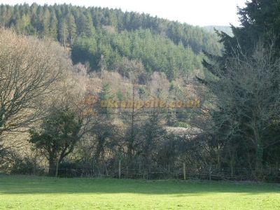 Sweet Meadows And Wild Woods Country Holidays
