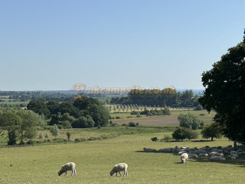 Mackley Farm Campsite