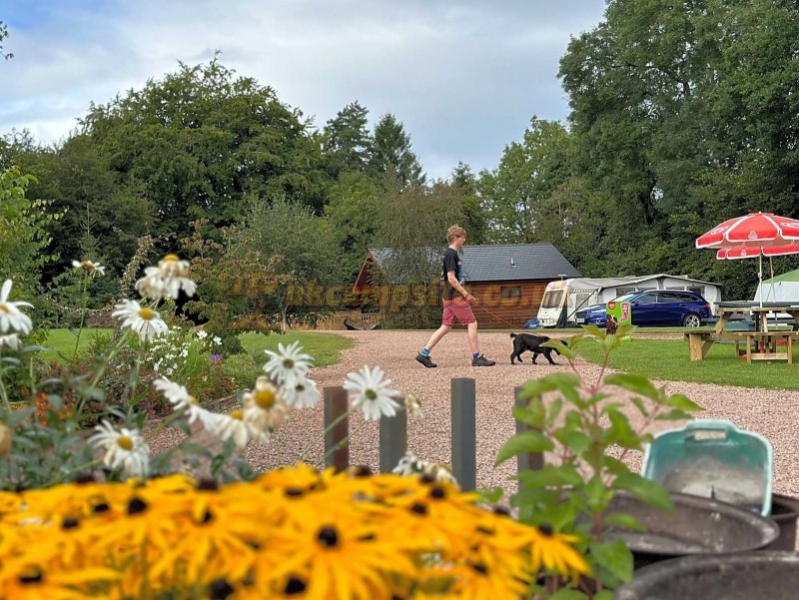 Greenacres Campsite Forest Of Dean And Wye Valley