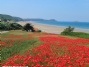 Camping De La Plage De Saint Pabu Camping De La Plage De Saint Pabu