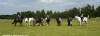 Bardwell Manor Equestrian Centre Bardwell Manor Equestrian Centre