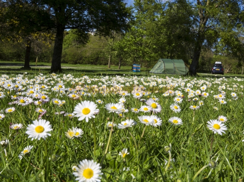 Castlerigg Hall Caravan And Camping Park