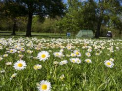 Castlerigg Hall Caravan And Camping Park