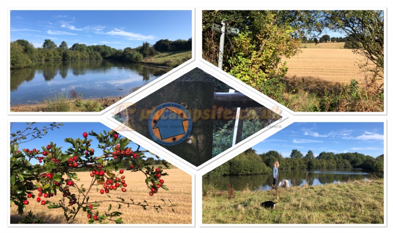 Happyford Certificated Location