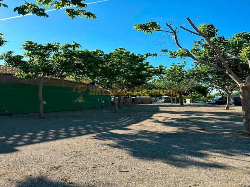 Camping El Pino