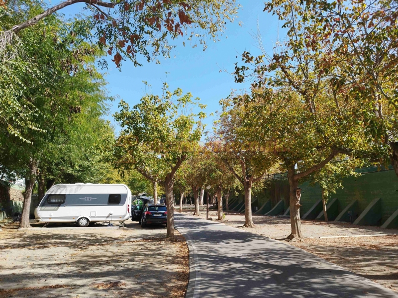 Camping El Pino
