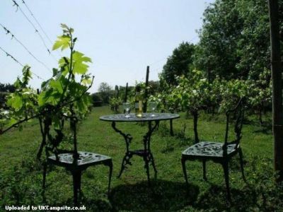 The Old Vineyard Safari Cabin