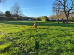 Colchester Country Park Touring And Camping