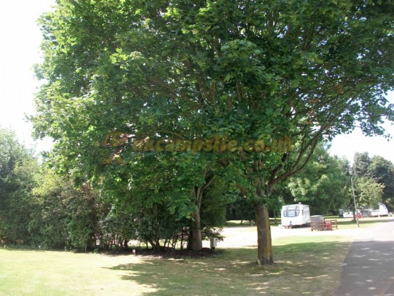 Colchester Country Park Touring And Camping