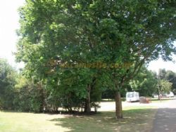 Colchester Country Park Touring And Camping