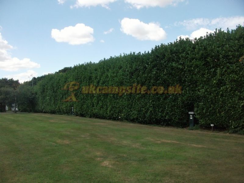 Colchester Country Park Touring And Camping