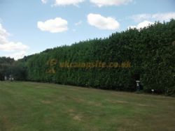 Colchester Country Park Touring And Camping