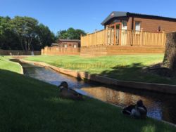 Colchester Country Park Touring And Camping