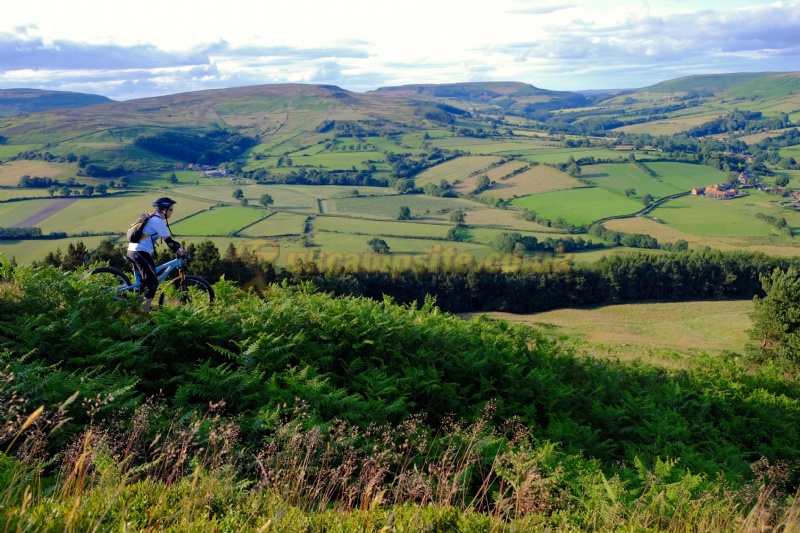 Rawcliffe Bank Top Farm