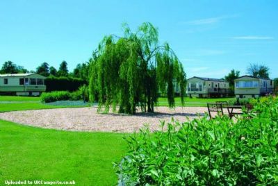 The Willows Campsite