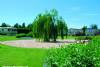 The Willows Campsite The Willows Campsite