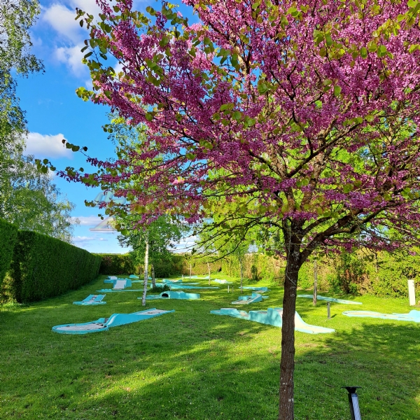 Camping Du Chateau De La Rolandiere