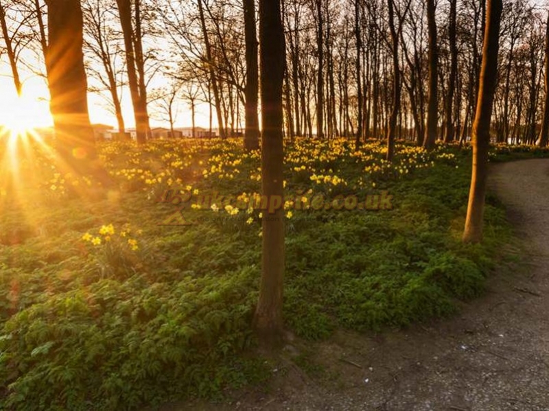 Burton Constable Holiday Park
