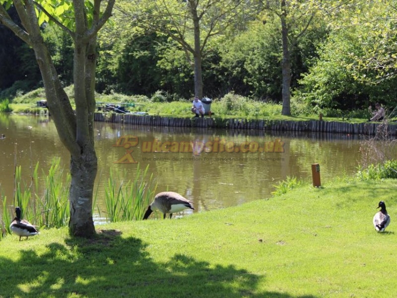 The Wharf Caravan Park