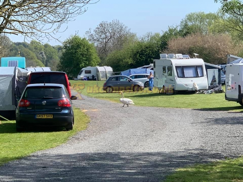 The Wharf Caravan Park