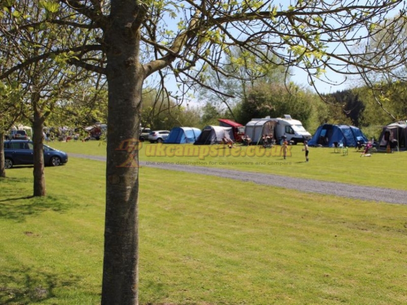 The Wharf Caravan Park