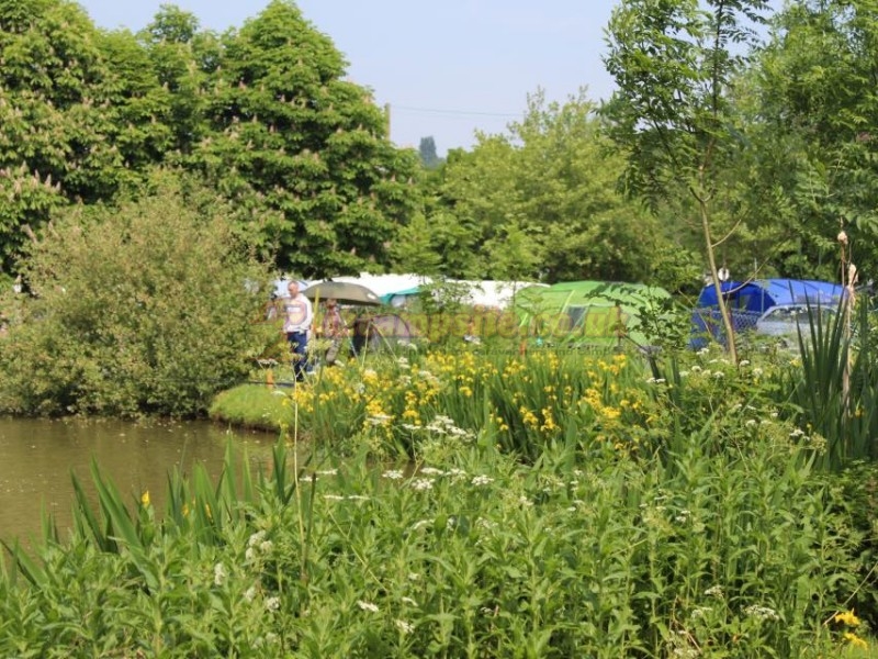 The Wharf Caravan Park