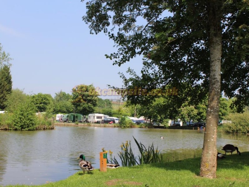 The Wharf Caravan Park