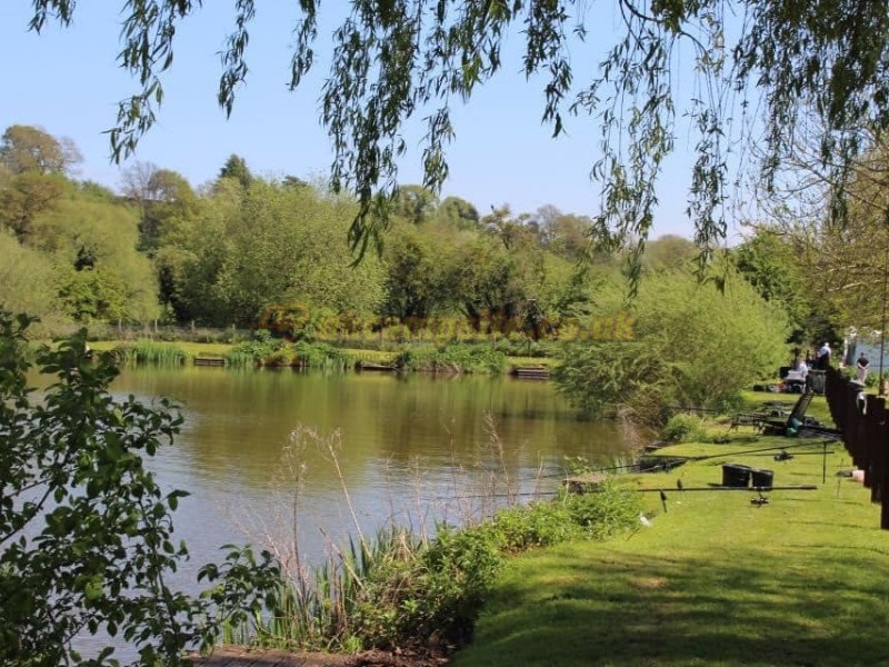 The Wharf Caravan Park