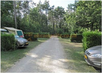 Camping Bois De La Justice