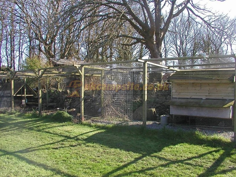 Kelpie Tents And Tourers Campsite