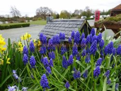 Lakeside Adult Touring Caravan Park