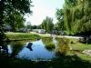 Camping Colombres Camping Colombres