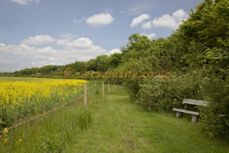 Mill Farm Country Park