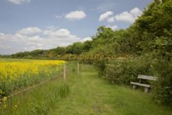 Mill Farm Country Park