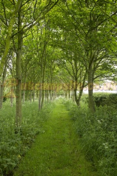 Mill Farm Country Park