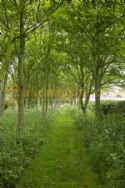 Mill Farm Country Park